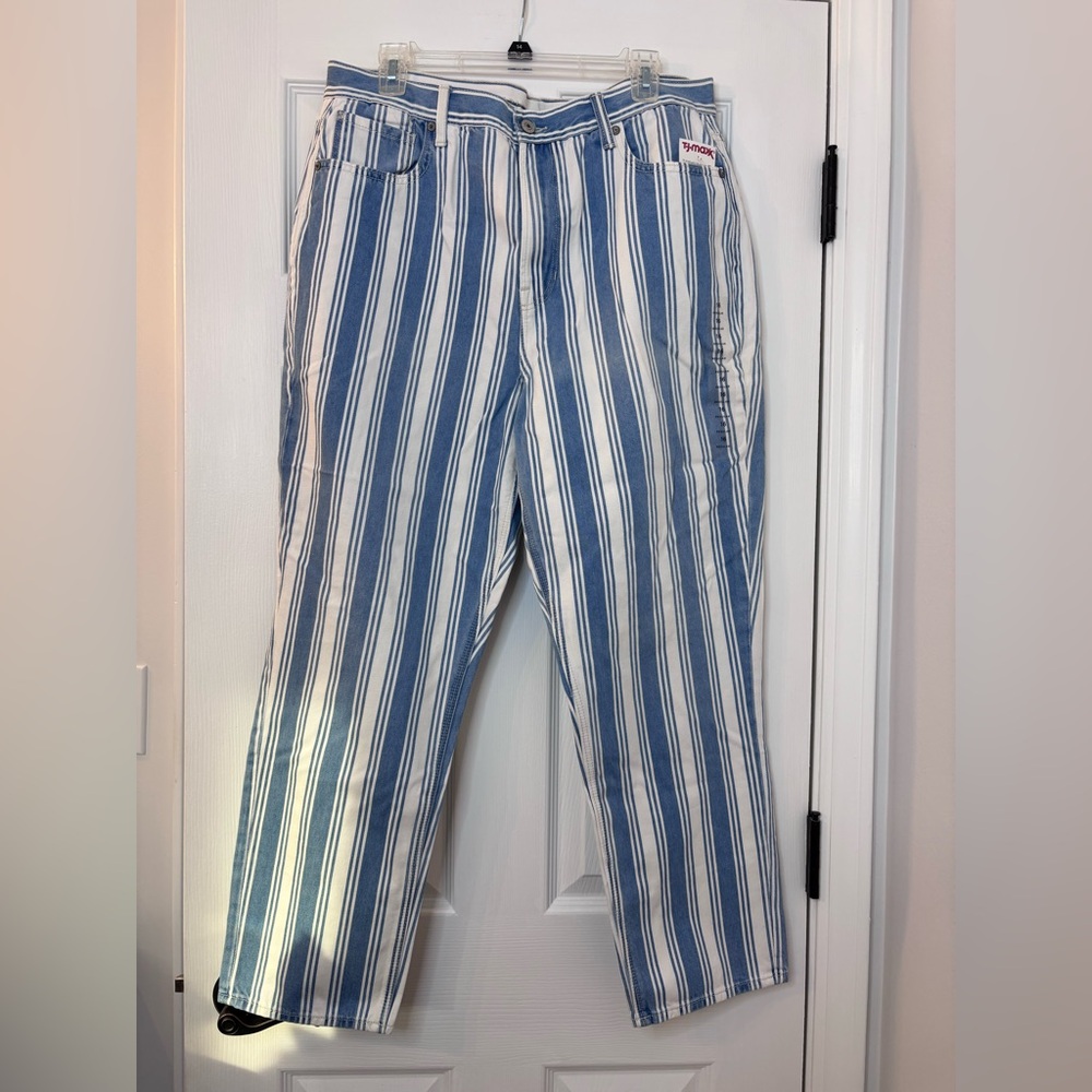 American Eagle Outfitters Blue and White Striped Pants